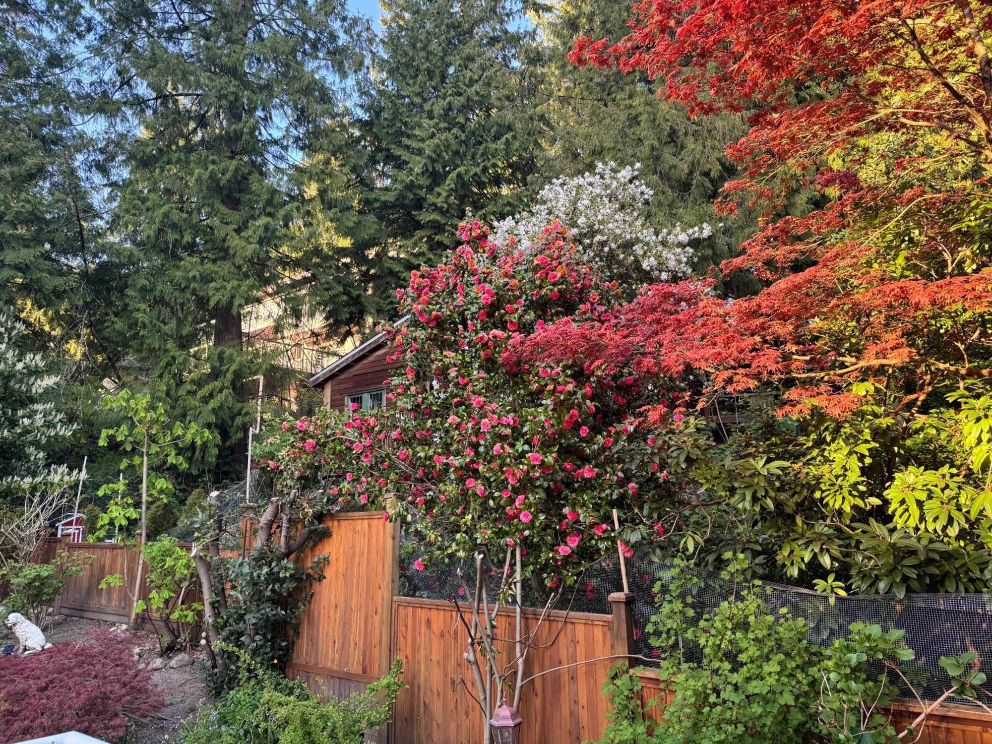 Beautiful Modern Suite North Vancouver Bagian luar foto
